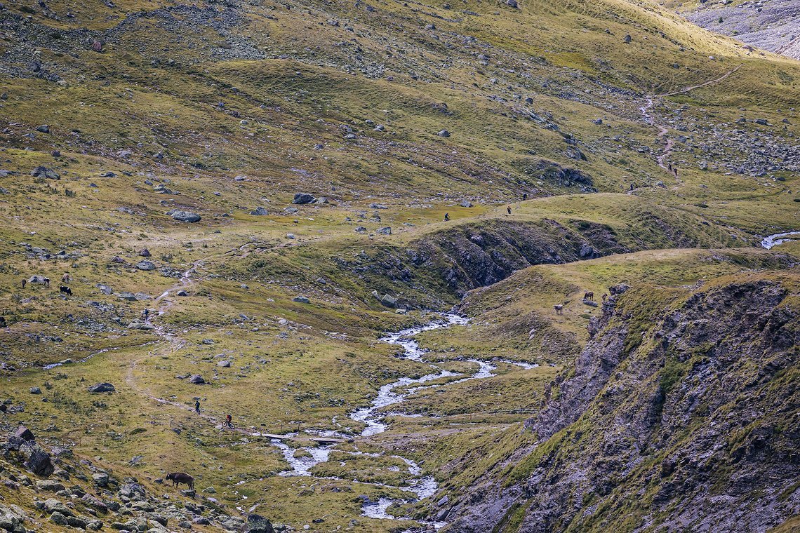 Die Regenfälle der vergangenen Tage haben dafür gesorgt, dass nicht nur im die Bachläufe gut gefüllt sind. Auch auf den Trails gilt es von Pfütze zu Pfütze zu hüpfen Die Regenfälle der vergangenen Tage haben dafür gesorgt, dass nicht nur im die Bachläufe gut gefüllt sind. Auch auf den Trails gilt es von Pfütze zu Pfütze zu hüpfen