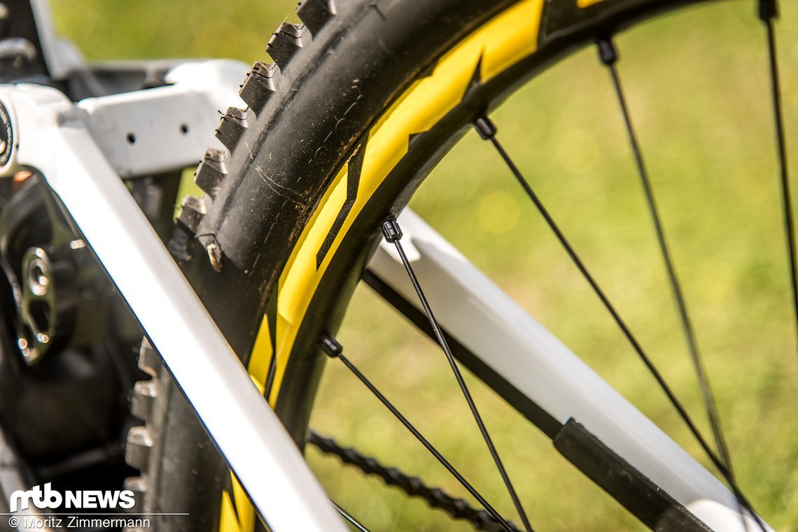 Ein interessantes Detail: An den Mavic Deemax-Laufrädern bevorzugt Troy runde Speichen, weil diese leiser sind Ein interessantes Detail: An den Mavic Deemax-Laufrädern bevorzugt Troy runde Speichen, weil diese leiser sind