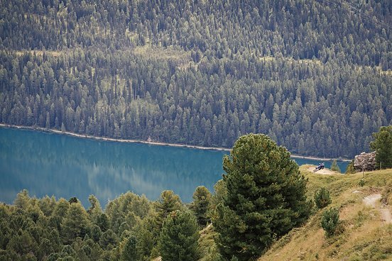 Tagesabschluss auf dem Corviglia Flow Trail - für das Teilnehmerfeld geht es ein letztes Mal hinab nach Chantarella Tagesabschluss auf dem Corviglia Flow Trail - für das Teilnehmerfeld geht es ein letztes Mal hinab nach Chantarella